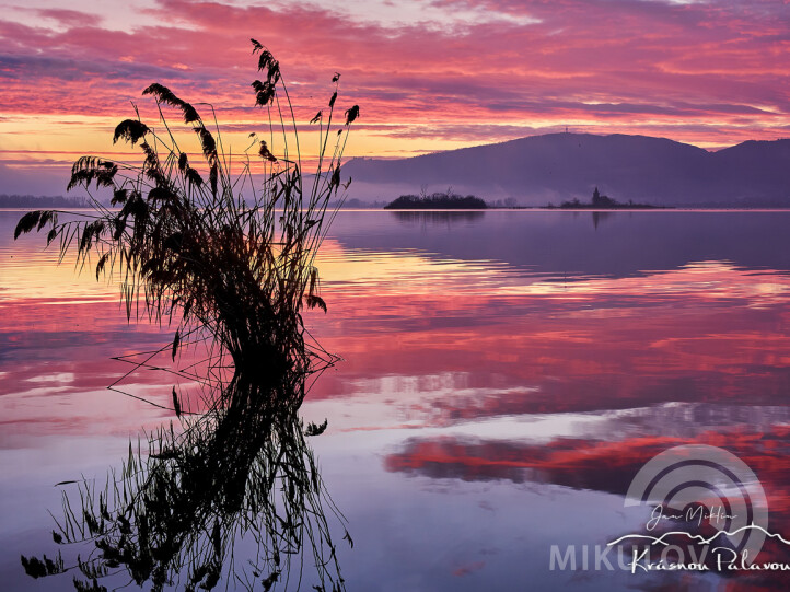 Krásnou Pálavou.cz