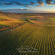 Krásnou Pálavou.cz