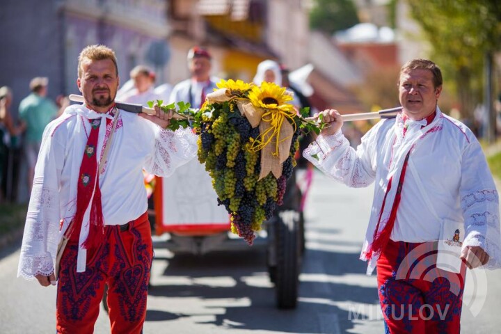 Pálavské vinobraní 2024