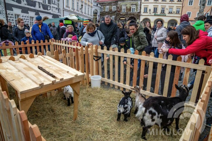 Velikonoční Mikulov 2022