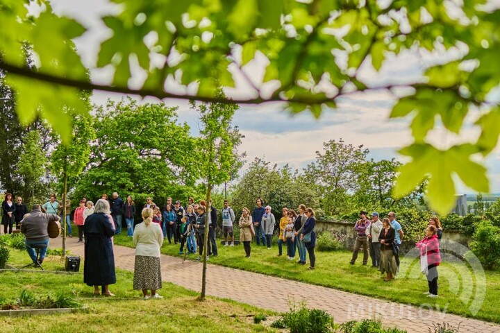 Setkání u stromu Olgy Havlové 2023