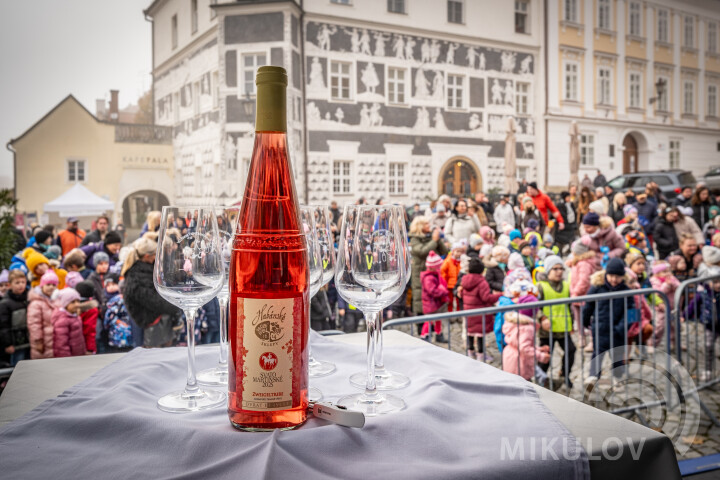 Svatomartinský Mikulov 2025
