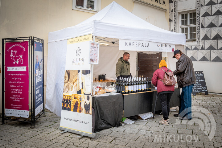 Svatomartinský Mikulov 2025