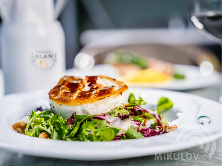 Kongresové centrum Galant