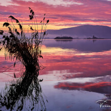 Krásnou Pálavou.cz